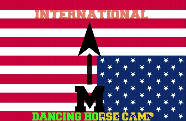 International AIM Dancing Horse Camp Flag